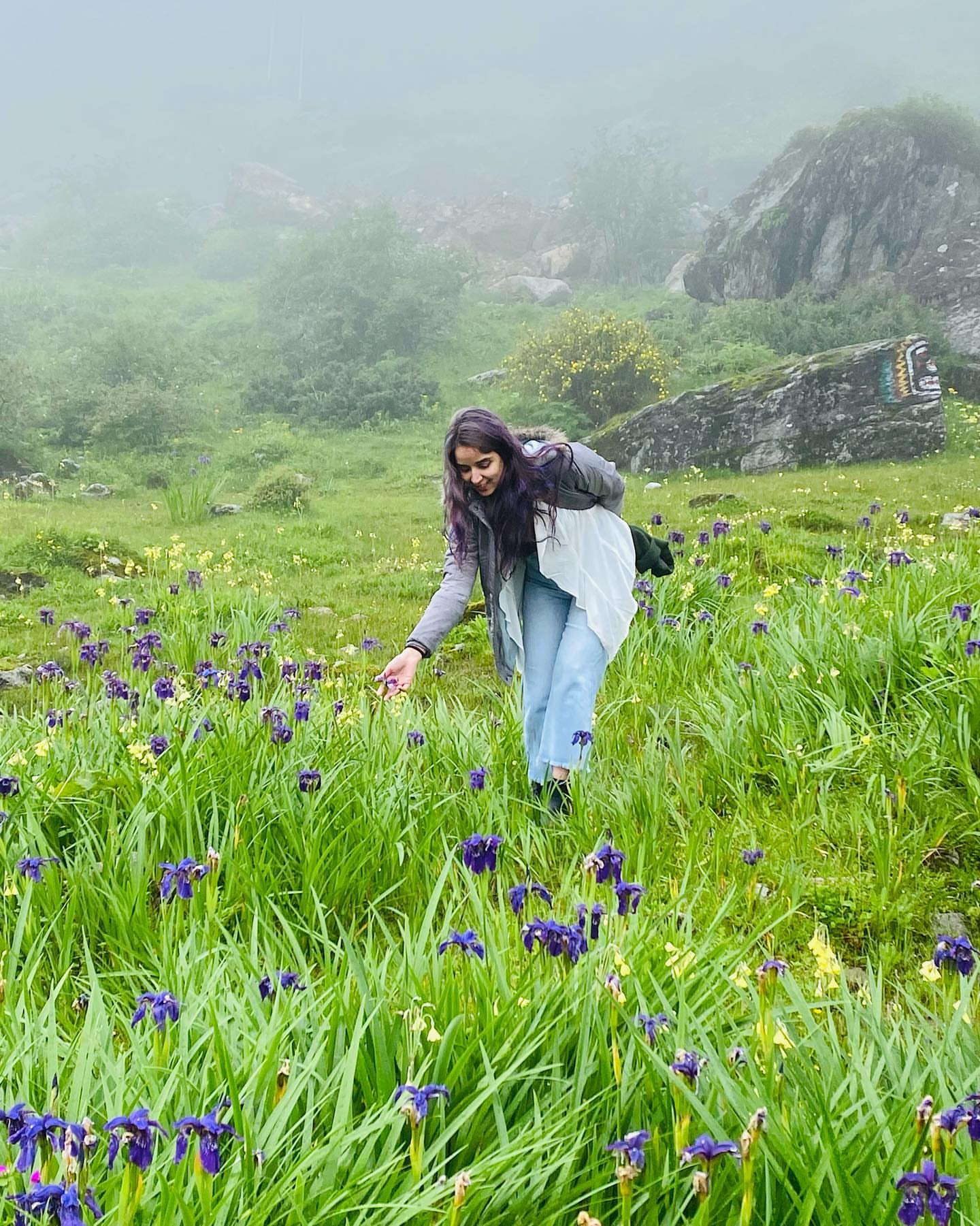 Valley of Flowers Trek